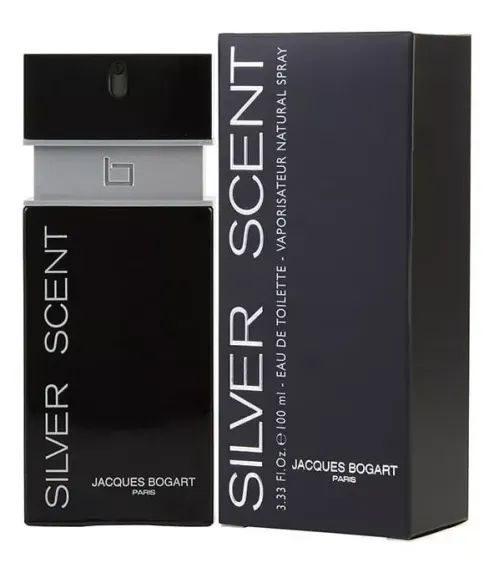 Perfume Silver Scent masculino eau de toilette