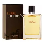 terre-hermes-edt-100.webp
